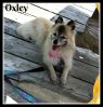 . Oxley .