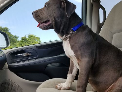 Photo of Rocket