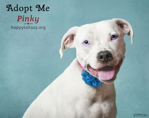 . Pinky .