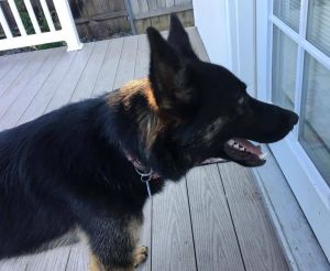 . Jax .