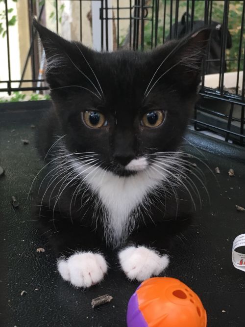 . Mia .