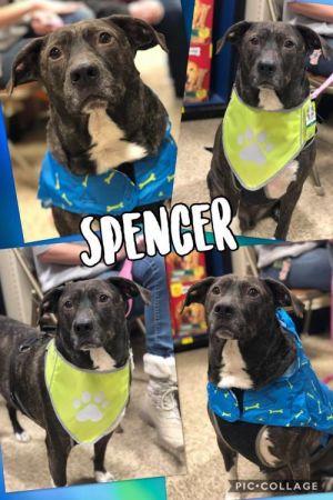 . Spencer .
