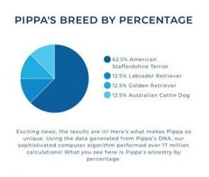 . Pippa .