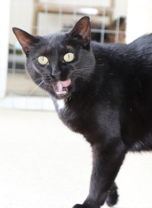 . Luna .