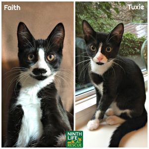 . Faith & Tuxie .