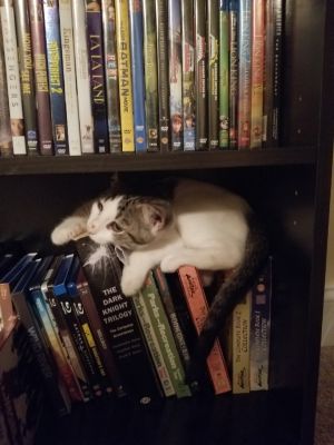 . Loki .