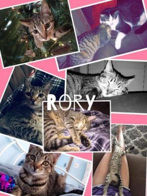 . Rory .