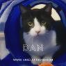 . Dan .
