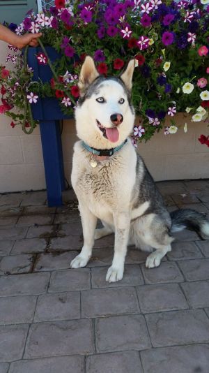 . Luna .