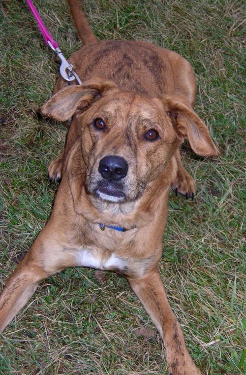 Photo of Paddy