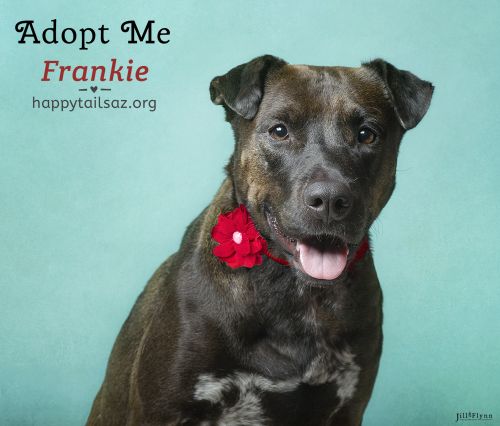 . Frankie .