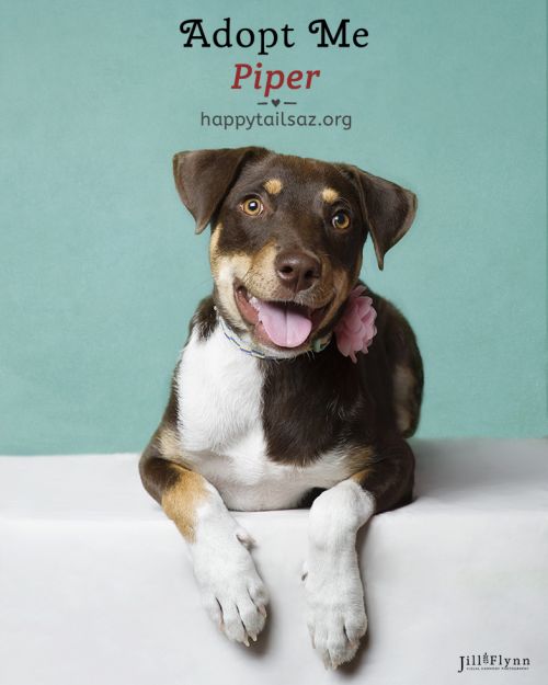 . Piper .