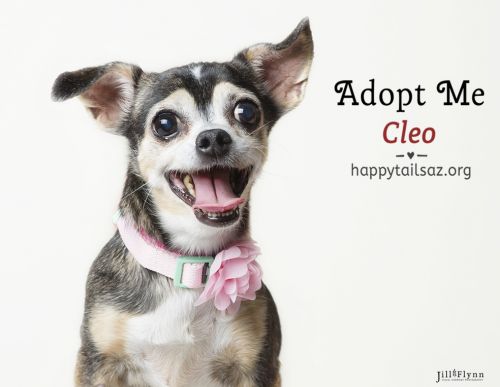 . Cleo .