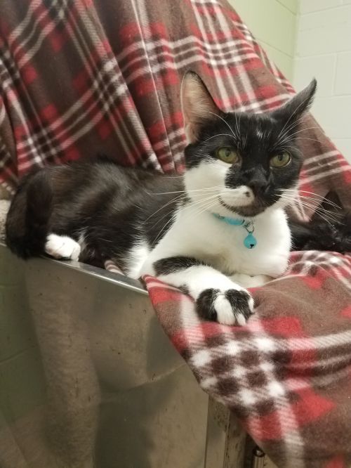 . KiKi .