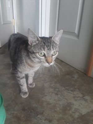 . Dora .
