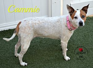 . Cammie .