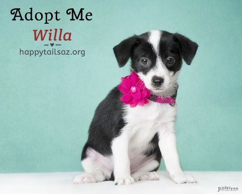 . Willa .