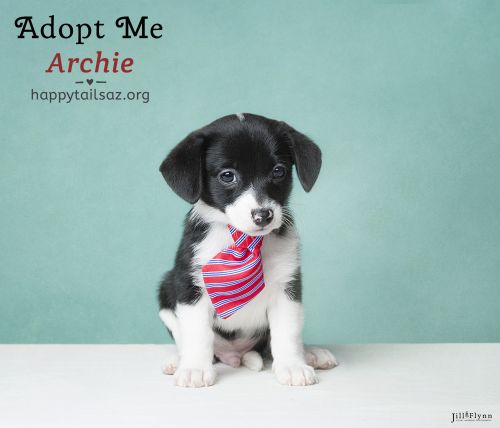 . Archie .