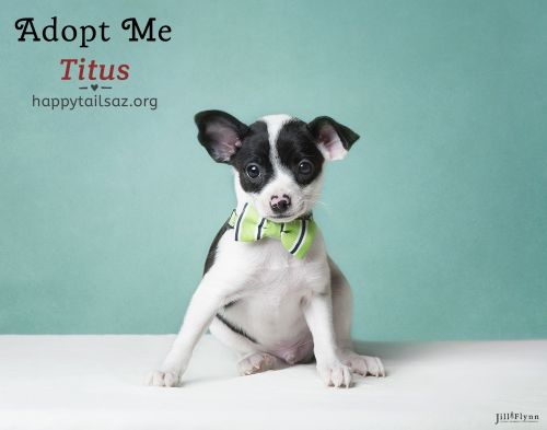 . Titus .