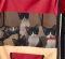 . Berkeley, Becca, Bellamy, Junior .