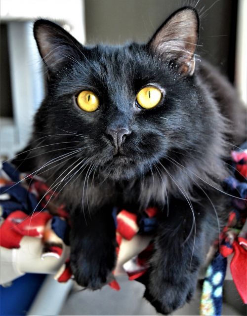 Photo of Mona