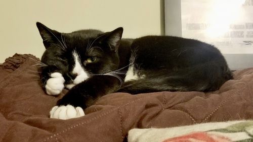 Photo of Buttons