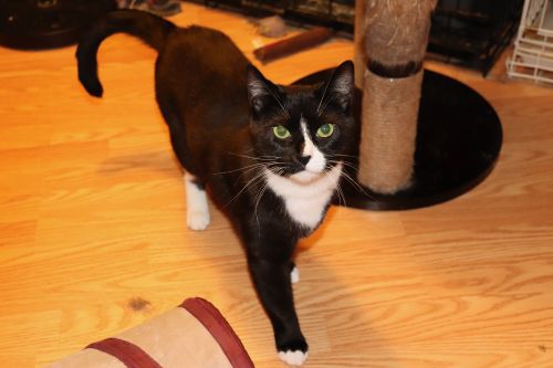 Photo of Buttons