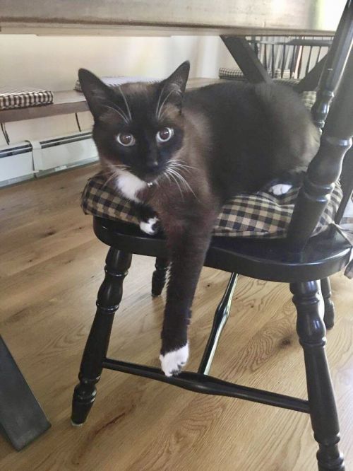 Photo of Max