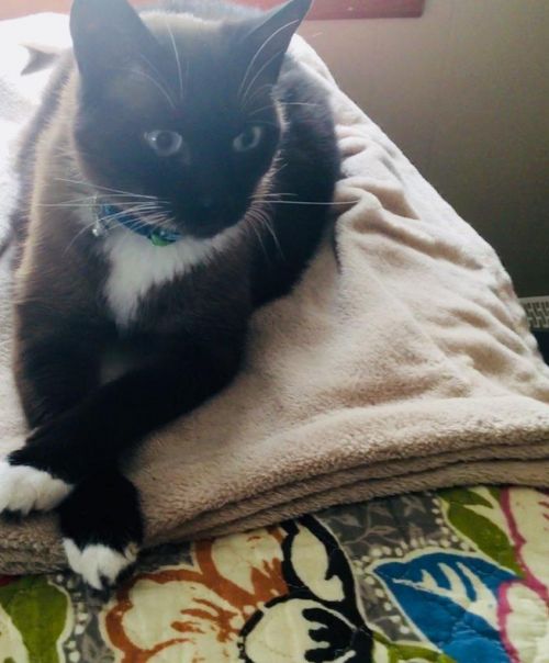 Photo of Max