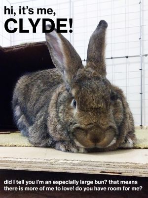 . Clyde .