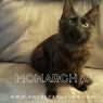 . Monarch 2 .
