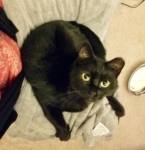 Photo of Sebastian