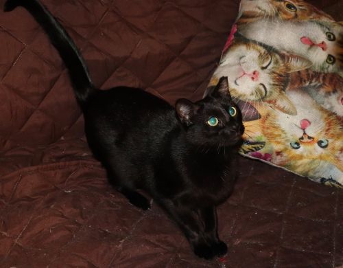 Photo of Blake