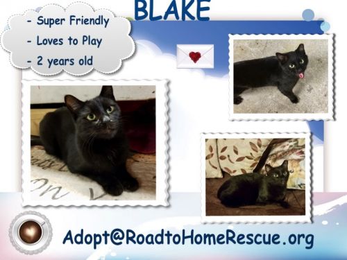 Photo of Blake