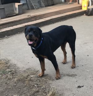 . Max .