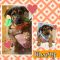 . Manny-ADOPTED! .