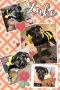 . Luke-ADOPTED! .