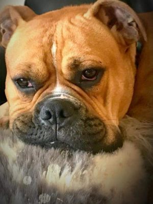 . Tyson .