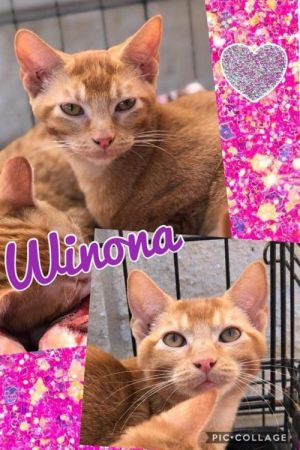 . Winona .
