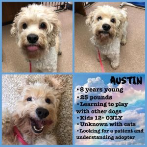 . Austin .