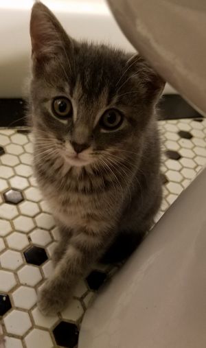 . Mila .