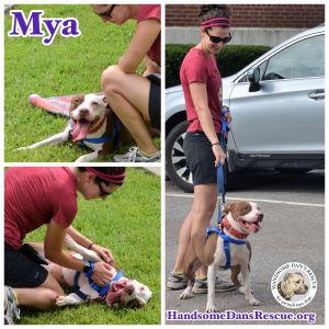 . Mya .