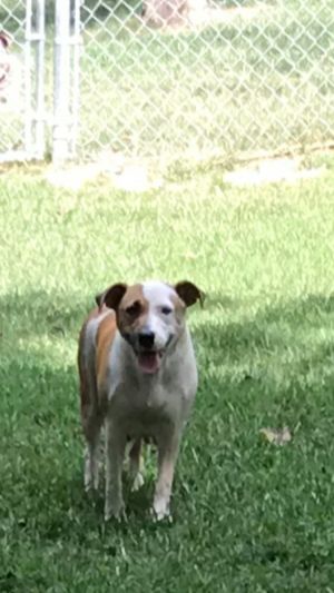 . Delilah .