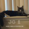 . JC 2 .