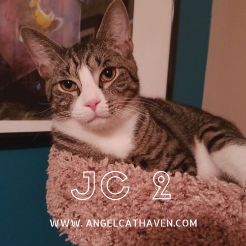 . JC 2 .