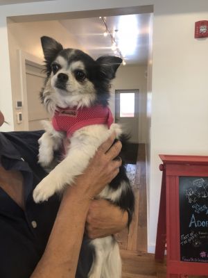 . ***COURTESY LISTING*** BELLA .
