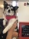 . ***COURTESY LISTING*** BELLA .