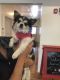 . ***COURTESY LISTING*** BELLA .