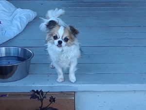 . ***COURTESY LISTING*** REGGIE .