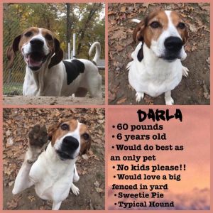 . Darla .
